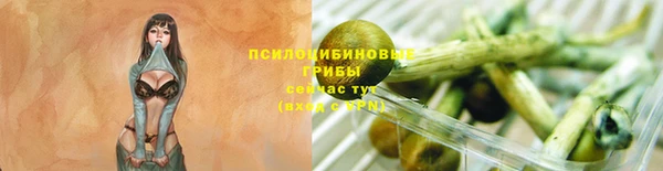 spice Горно-Алтайск