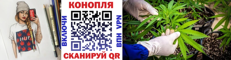 купить закладку  Красный Сулин  blacksprut tor  Бошки марихуана MAZAR 
